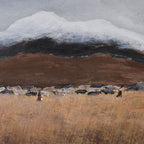 The Gaze Upon Tibet Series，27.6" × 27.6" | Original Painting by Chinese Artist | Magic Bear Art