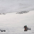 The Gaze Upon Tibet Series，Acrylic on Xuan Paper 27.6''× 27.6'' | Original Painting by Chinese Artist | Magic Bear Art