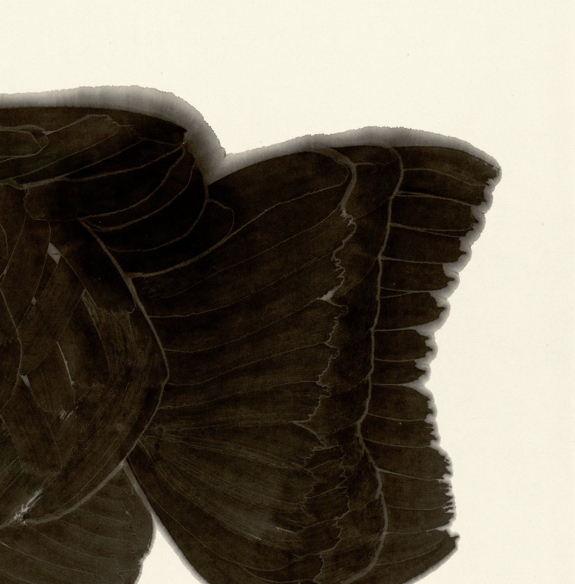 The New Species Series - 54.3''× 26.8'' | Original Painting by Chinese Artist | Magic Bear Art