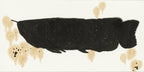 The New Species Series - 54.3''× 26.8'' | Original Painting by Chinese Artist | Magic Bear Art